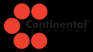 Partner logo - partner